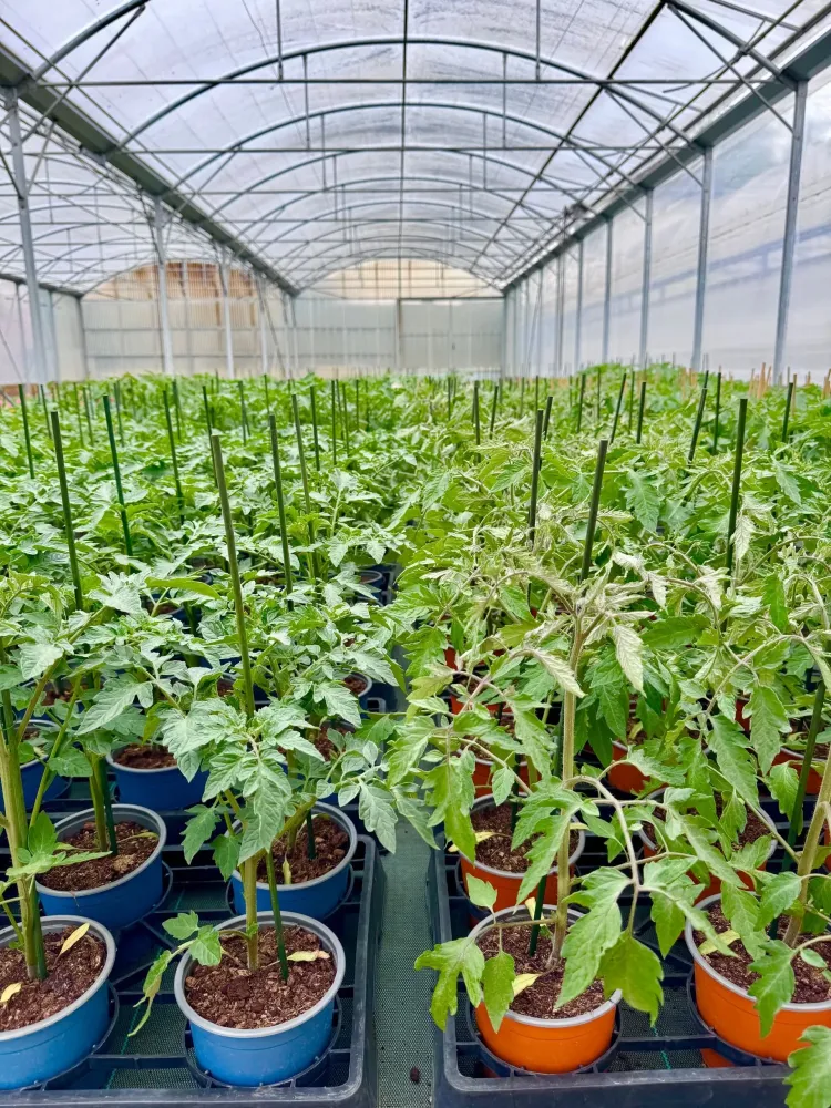 horticulture (9)