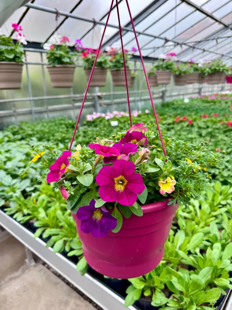 horticulture (5)