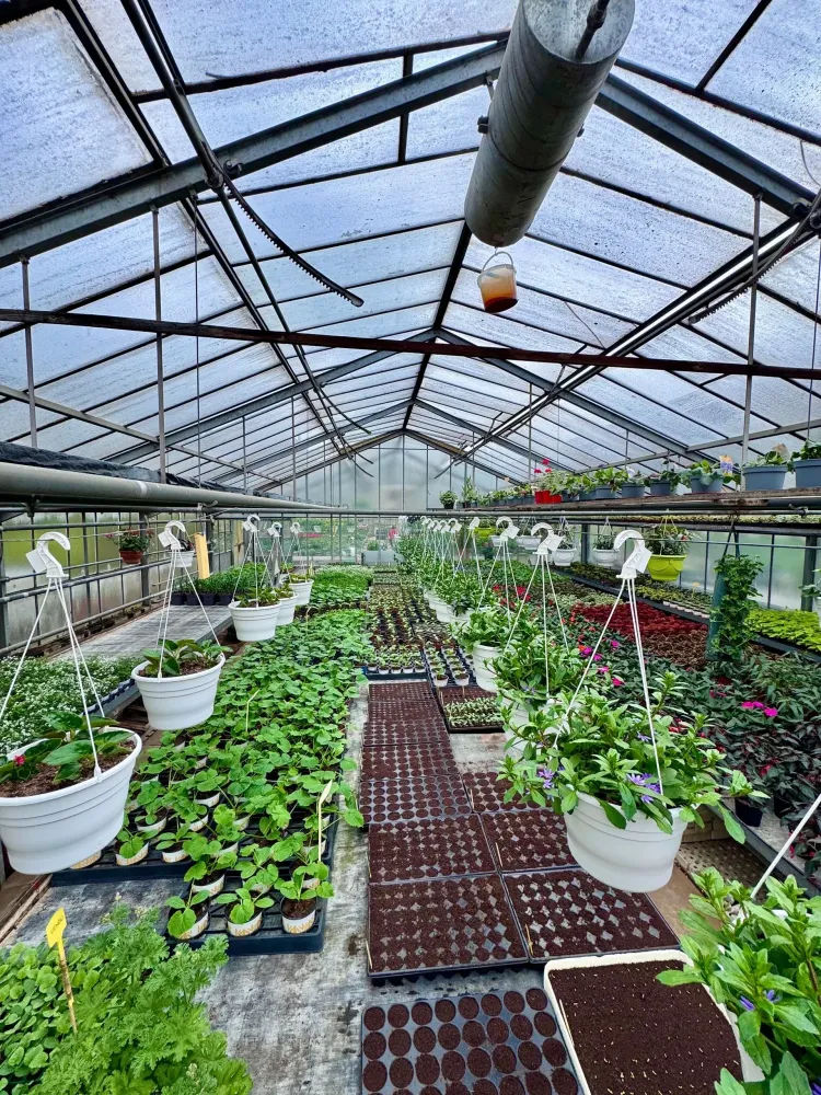 horticulture (10)