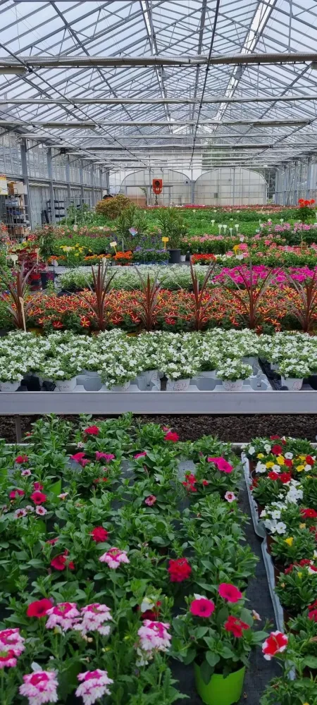 horticulture (14)