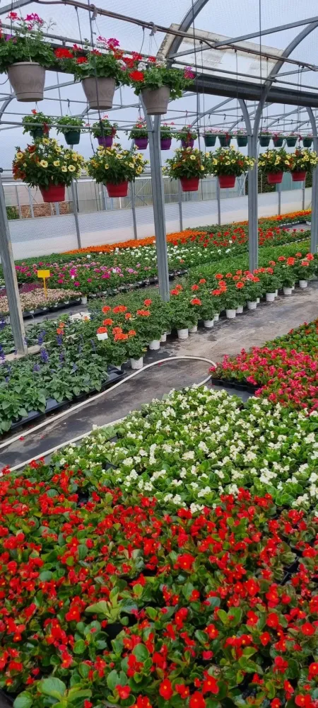 horticulture (16)