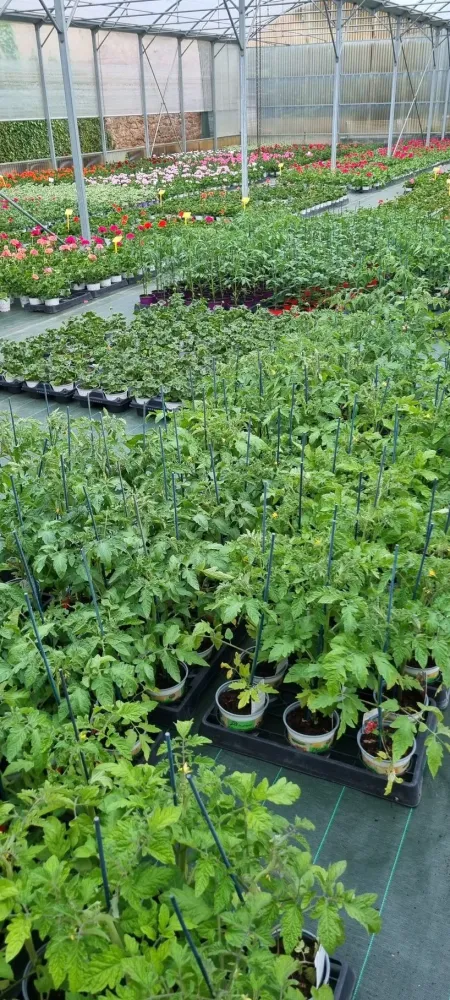 horticulture (17)